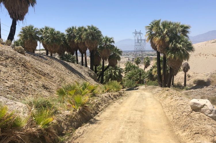 Auf der Saint Andre Fault Jeep Tour in Palm Springs, Kalifornien